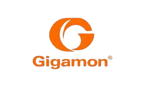 Gigamon